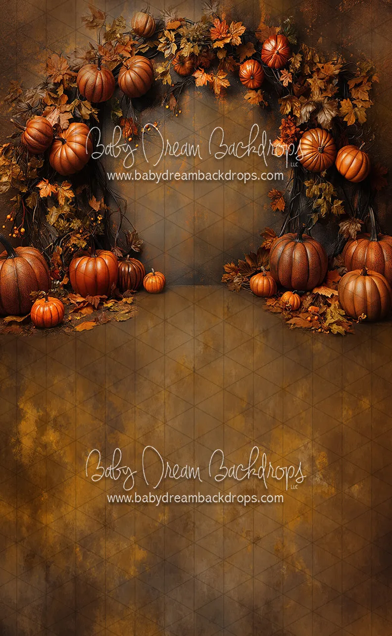 Sweeps Nova Organic October (CC)