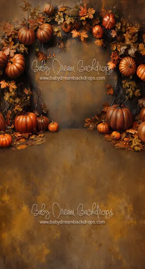 Sweeps Nova Organic October (CC)