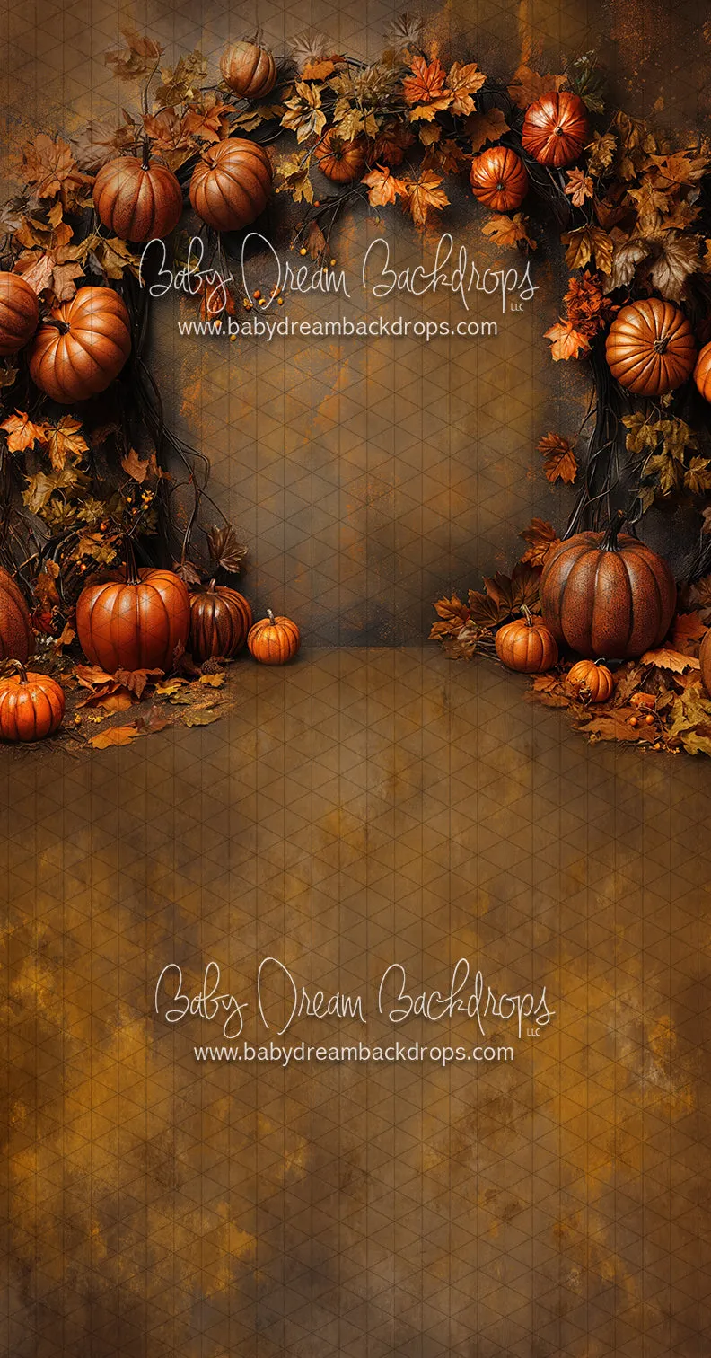 Sweeps Nova Organic October (CC)